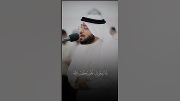 والله رؤوف بالعباد🤍 #احمد_النفيس #سورة_آل_عمران #اكسبلور #quran #fyp #explore