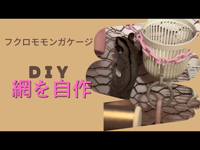 飼育日記7]フクロモモンガのケージに自作の網を取り付けました！ - YouTube