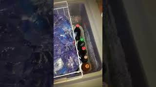 Hisense Deep Freezer fast froze button.
