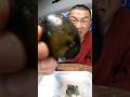 Black eggs?! #food