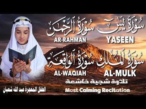 تلاوة تريح القلوب | سورة يس، الرحمن، الواقعة، الملك | القارئ عبدالله شعبان Heart Soothing Recitation