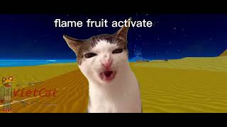 Blox fruit adventure be like part4 (but cat meme 🐈😺🍊)
