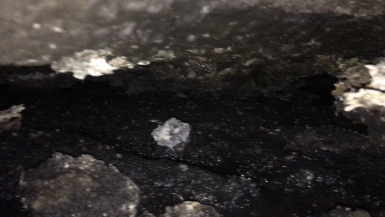 Underground Plumbing  disaster due sewage leak