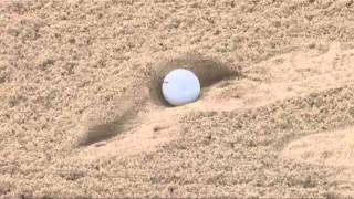 Rake those Bunkers Profile
