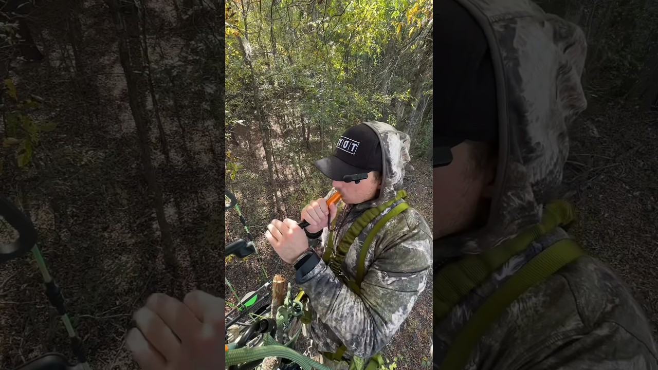 Time To Bring Out the Grunt Calls! 