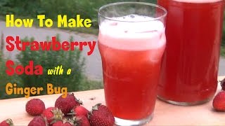 Strawberry Soda Recipe - Naturally Fizzy With Ginger Bug!