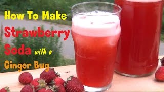 Strawberry Soda Recipe - Naturally Fizzy With Ginger Bug