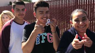 FFA Year in Review 2016-17