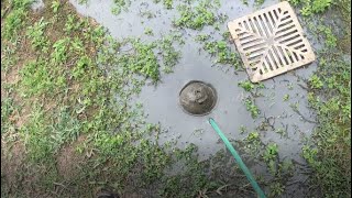 Blocked Drain 110 (Yard Gully Not Draining, Includes A Little Dig Up & Repair...)