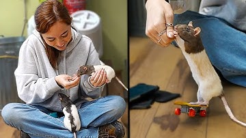 Maya teaches the rats some SICK skateboard tricks at Alveus