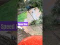 Fir Speed Line #treework #washington #trees #pnw #arborist #husqvarna #chainsaw #rope #rigging
