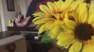 Quick Tech Sesh- Fingerboarding Mini