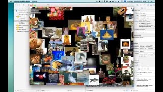 Celebrity ofxTSNE example-images TEST Wealth