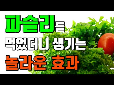 파슬리 섭취의 놀라운 효과. 파슬리 약이 되는 사람, 절대 먹어선 안되는 사람. [허준고모TV]