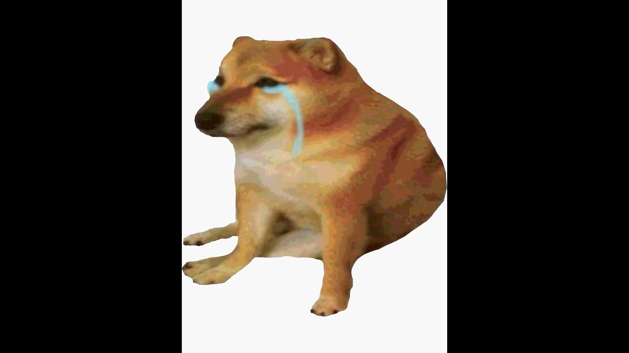 Market Still Pumping… I’m Scared to Long, Scared to Short. Let’s Talk 😂