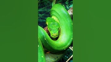 What most people don