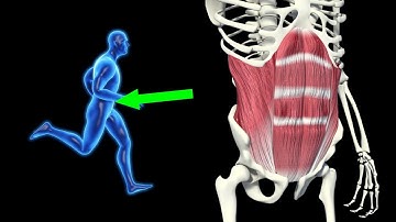 What the Core Does as you Run!