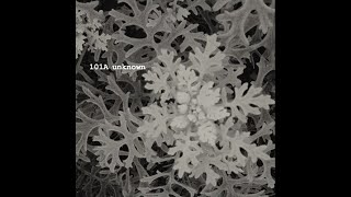 101A - Come Down (Unknown Fire Remix)