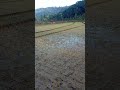 degung sunda