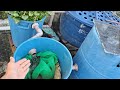 Como fazer um filtro caseiro para criação de tilápias em caixa d’água 🔧🐟