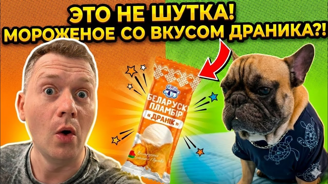 Дегустируем мороженое со вкусом драника #французскийбульдог #собакиприколы #мороженое #бульдоги 