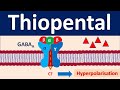 Thiopental - An IV anesthetic