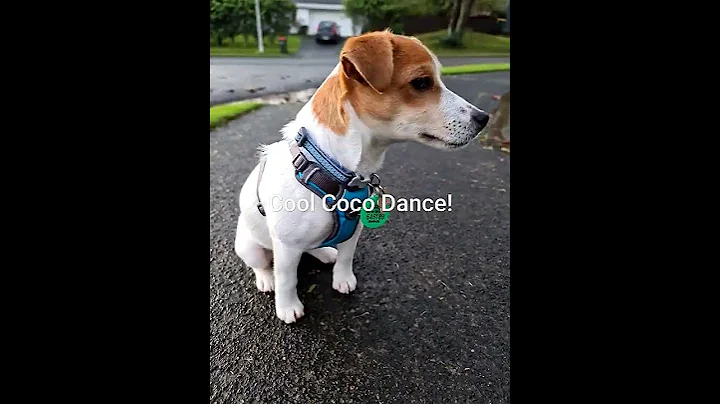Cool Coco Dance