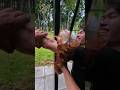 PoV When you get chased by someone #shorts #kungfu #pov #martialarts #selfdefense