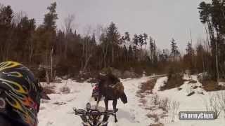 Best Fails of the Month April 2014