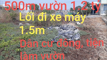 500m2 đất vườn l 1.2 tỷ-Lối đi 1.5m xe máy l Mỹ Lộc-Cần Giuộc l 0899489216