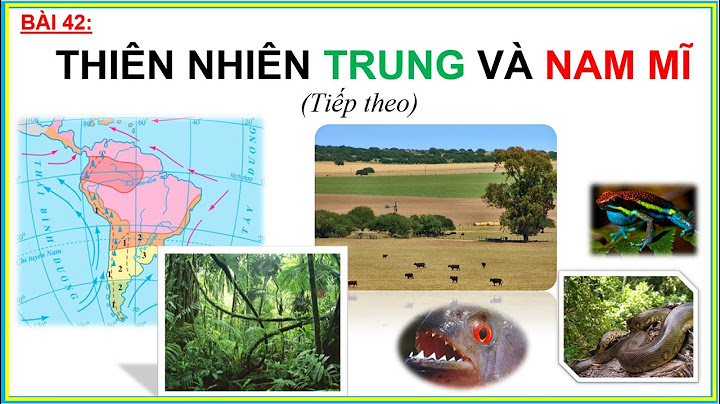 So sánh địa hình của bắc mĩ và nam mĩ năm 2024