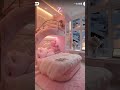 Personality Reveal Twist😱 Your Dream Bedroom Reveals Your Hidden Personality! 🧠💫  #Dream #ViralVideo