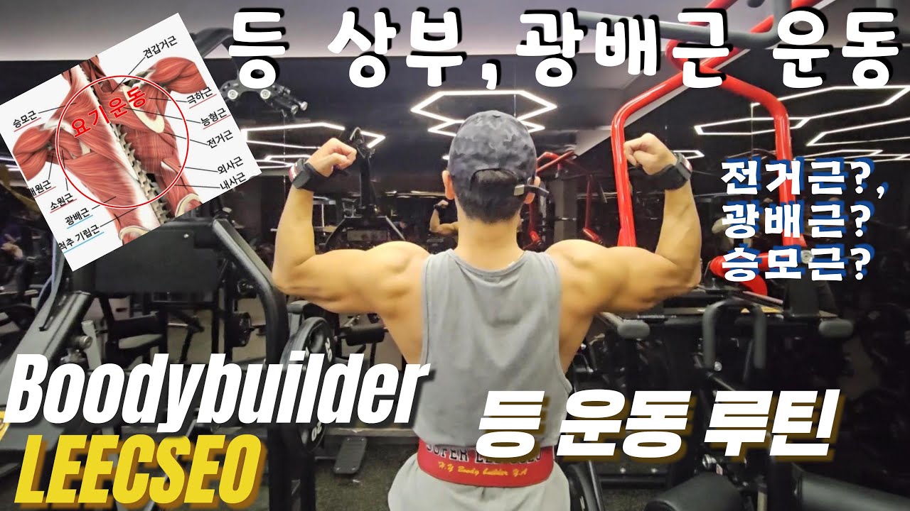 일반인 등운동루틴 (등상부,광배근,승모근) 리쎄오 아마추어 등근육 운동