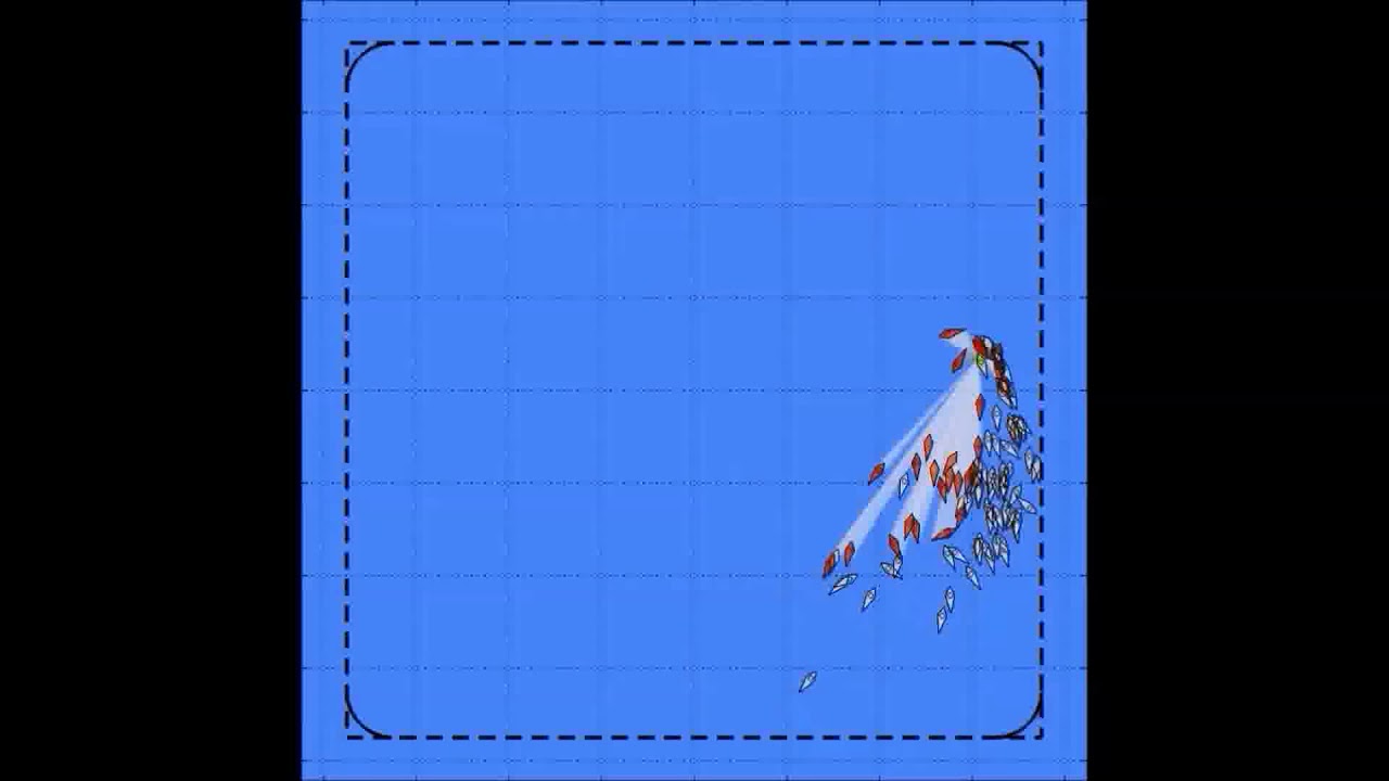 Visual networks in schools of fish