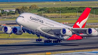 60 PLANES from CLOSE UP | A380 B747 B777 B787 A330 B767 | Sydney Airport Plane Spotting