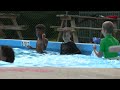Learn more about the Camp Taylor Pool