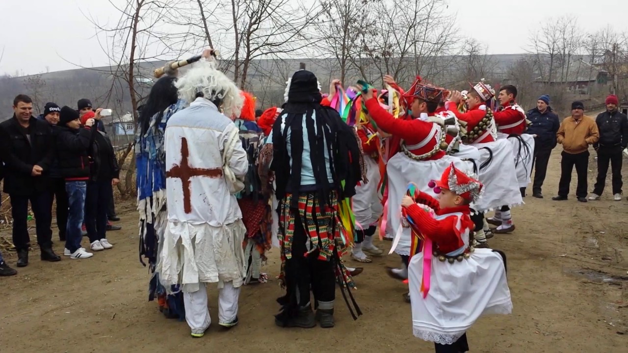 caiuti epureni botosani 1