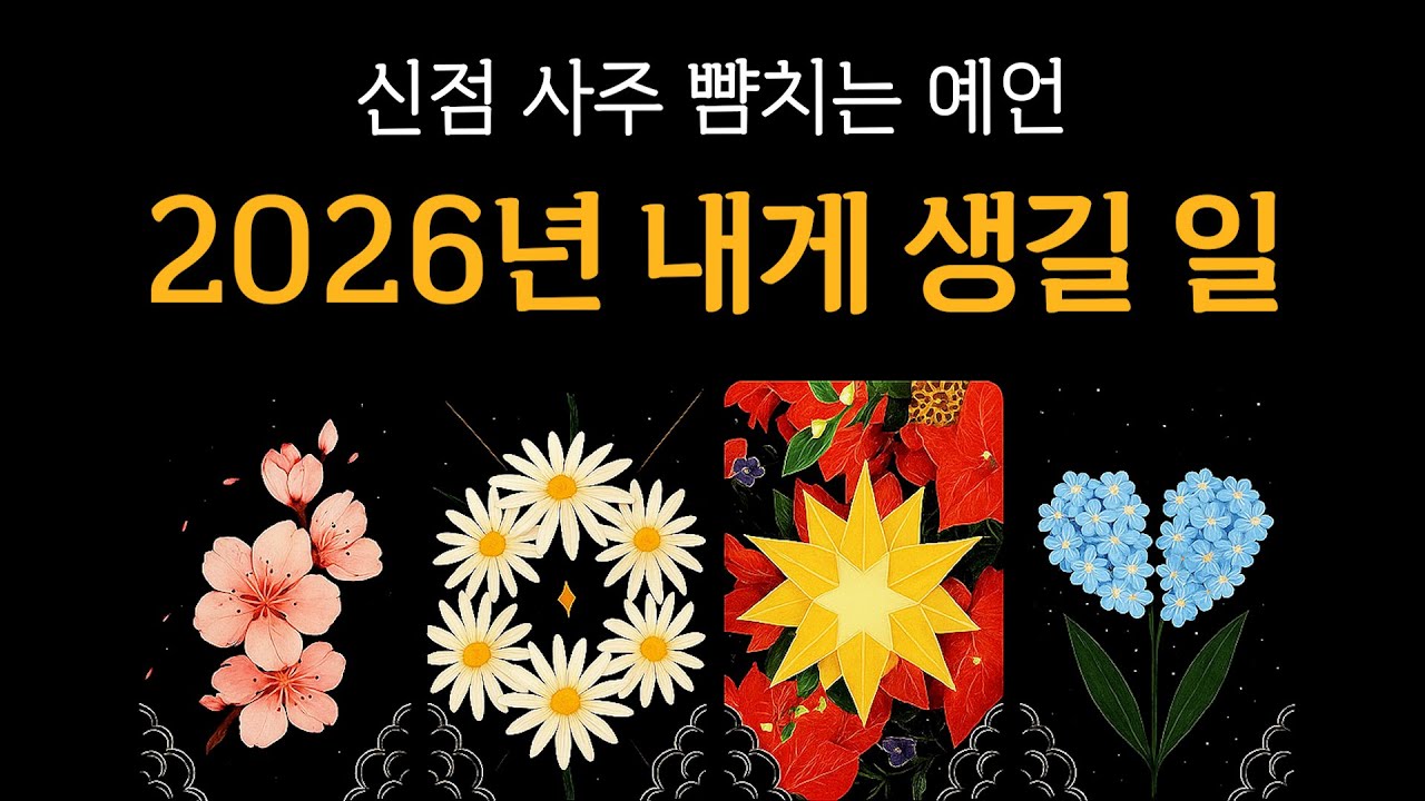 [타로] 2026년 내게 생길 일