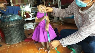 YaYa Starting Measure New Style Dress
