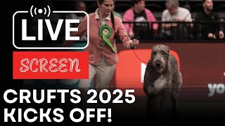 Crufts 2025 Day 1 LIVE: Best Dogs Compete in HTM, Breeders’ Final & Hound Group Showdown | SCREEN