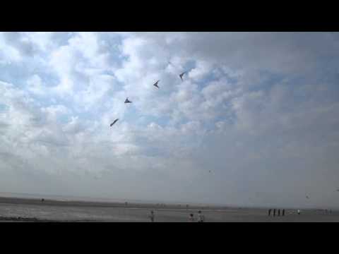 Berck - 25 me Rencontres Internationales du Cerf Volant - 19-04-11 (7)