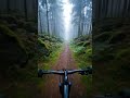 First-person POV cycling shot, hands gripping wide matte black mountain bike #14$