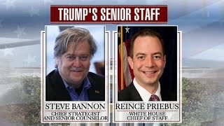 Trump allies defend Steve Bannon pick