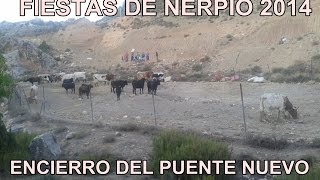 Encierro en el Puente Nuevo Nerpio 2014