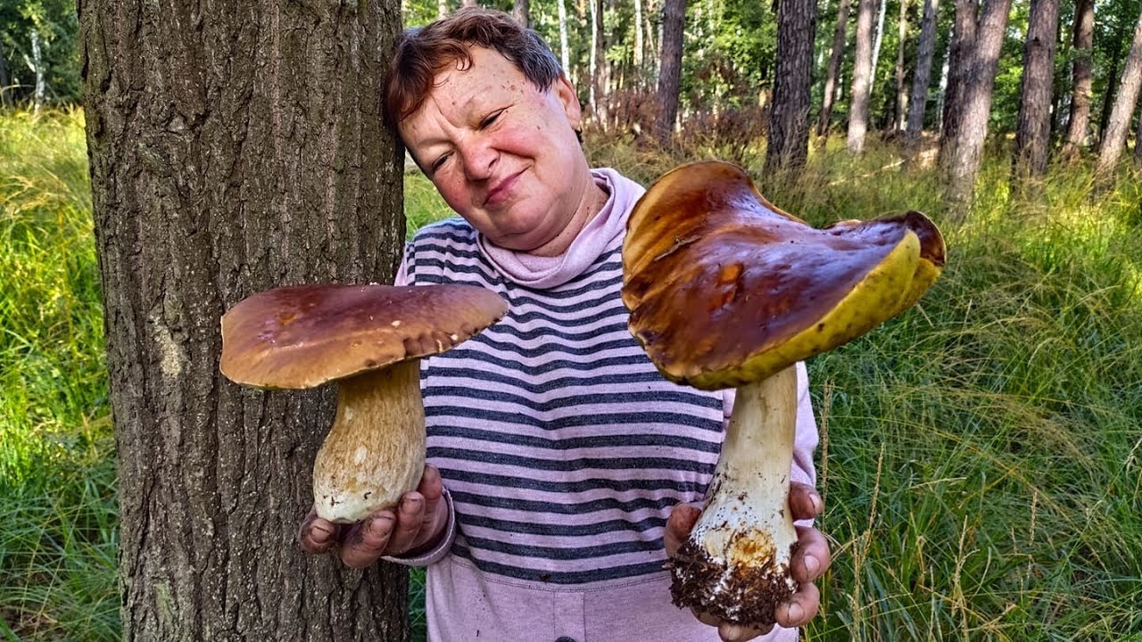 Hríby Huby 19 9 2019 Záhorie Senica