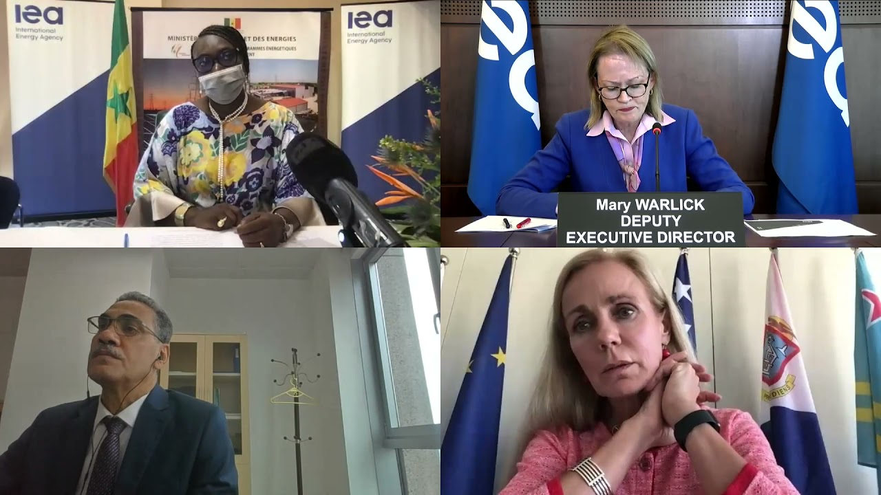 Clean Energy Transitions in the Sahel