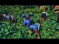 Lil Pazo Lunabe Ensujju Official Video 4K Lil Pazo Lunabe Ensujju Official Video 4K