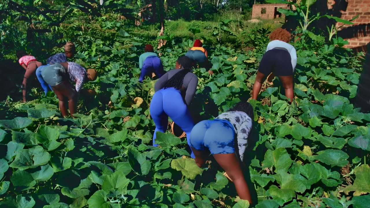 Lil Pazo Lunabe - Ensujju [ Official Video 4K ]