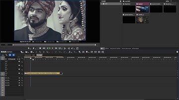 importing Sequence Edius Pro 9 Lesson 8- Urdu & Hindi