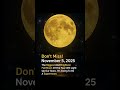 Supermoon Alert: The Biggest and Brightest Full Moon of 2025!